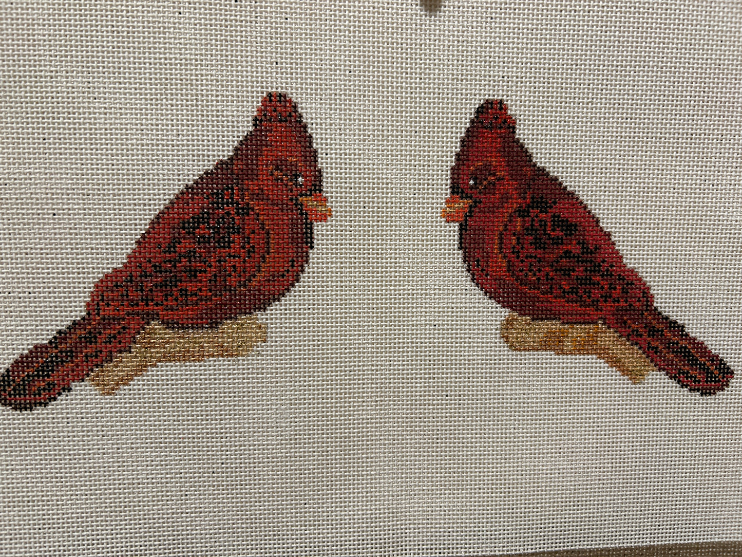 Cardinal - Can be 2 sided