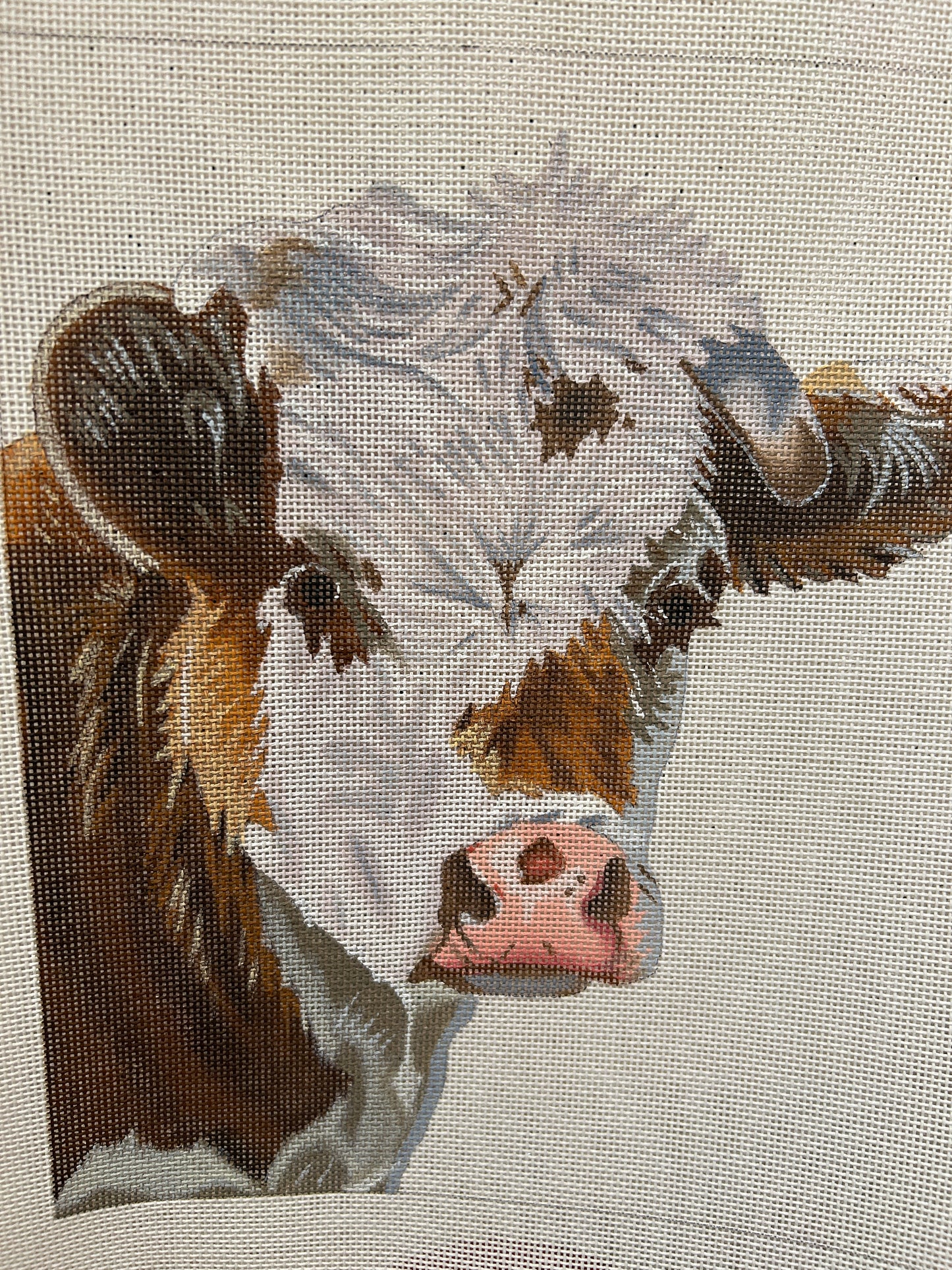 Cow Portrait
