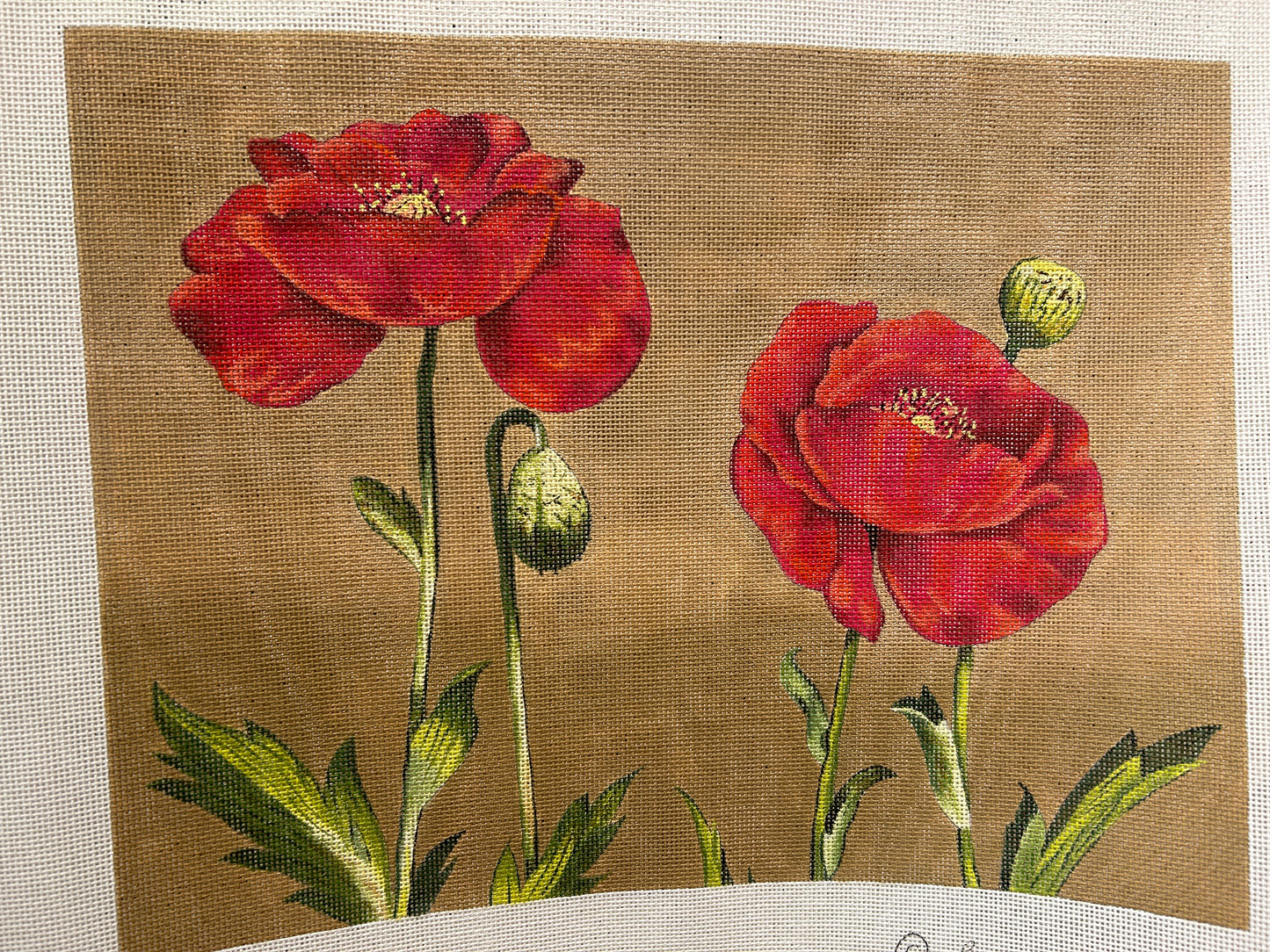 Two Red Poppies