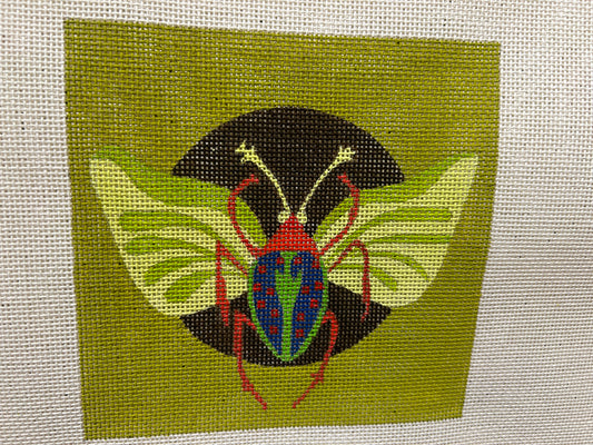 Green Winged Beetle