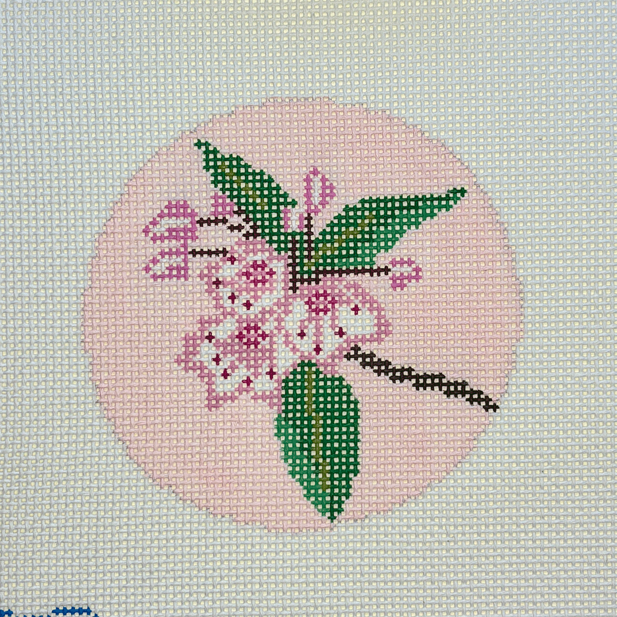 Mountain Laurel