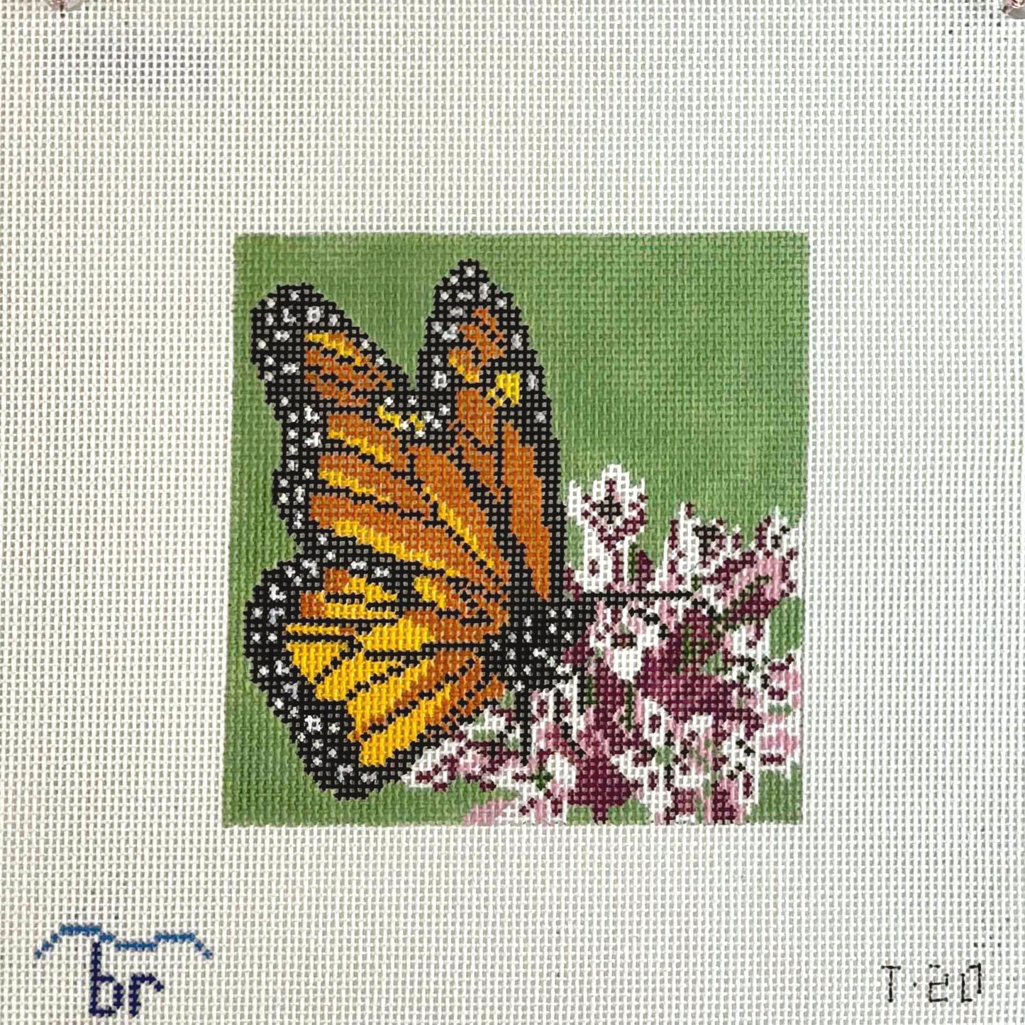 Monarch on Milkweed