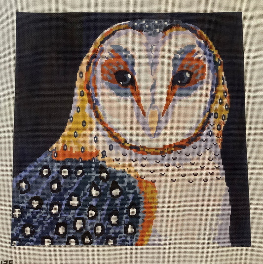 Barn Owl Canvas