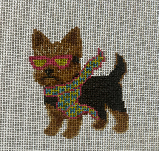 Bougie Yorkie