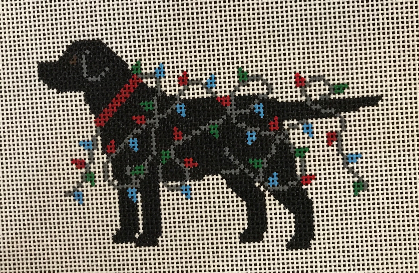 Black Lab-Christmas Lights