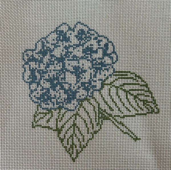 Hydrangea