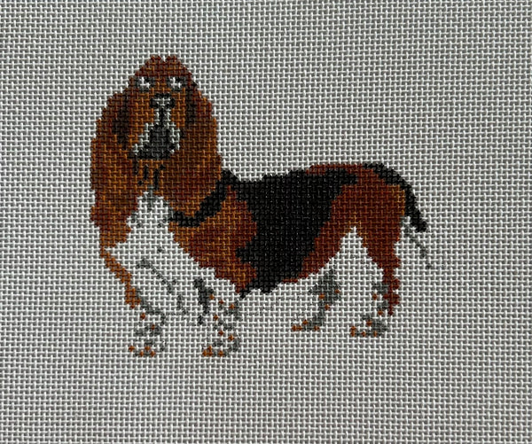 Bassett Hound