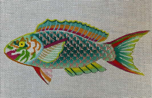 Rainbow Fish
