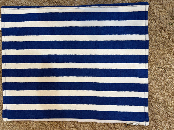 Blue Stripe Zipper Pouch