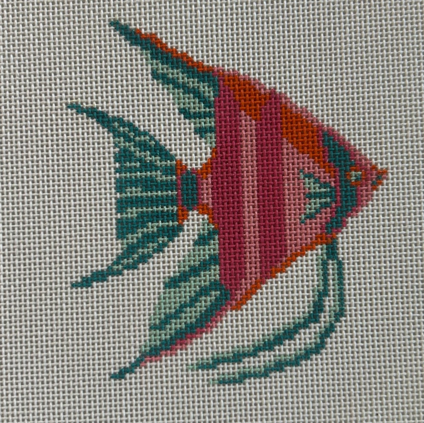 Angelfish
