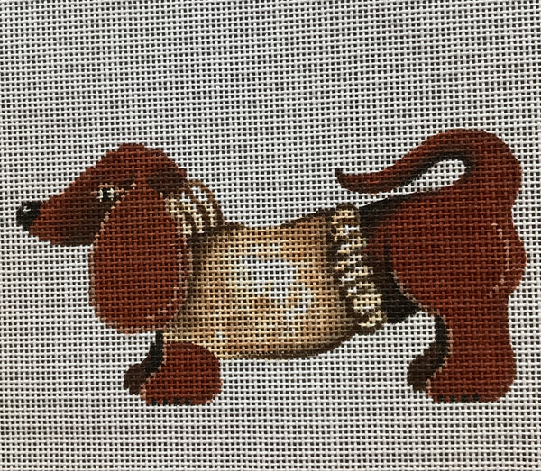Dachshund with Sweater