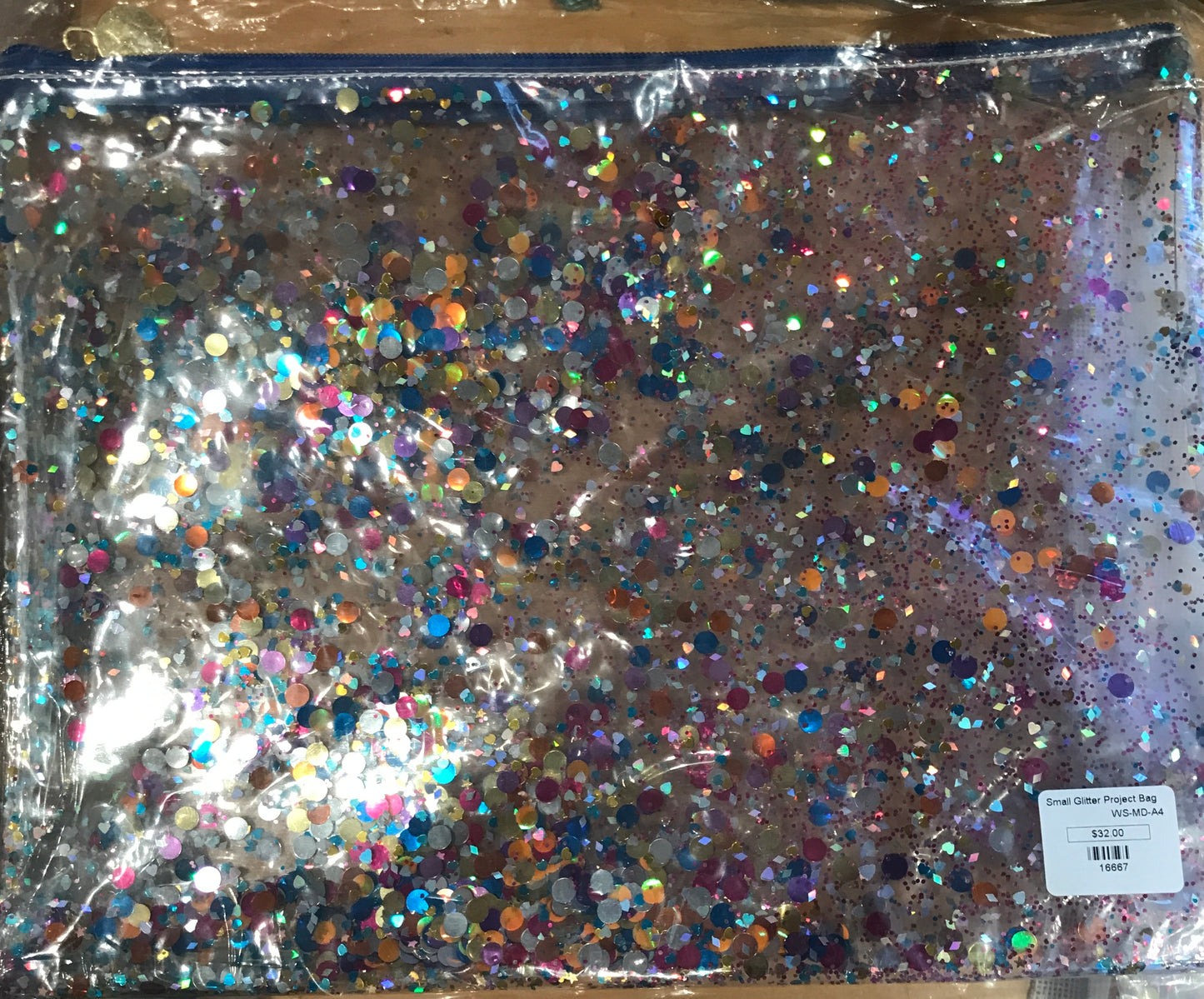 Small Glitter Project Bag