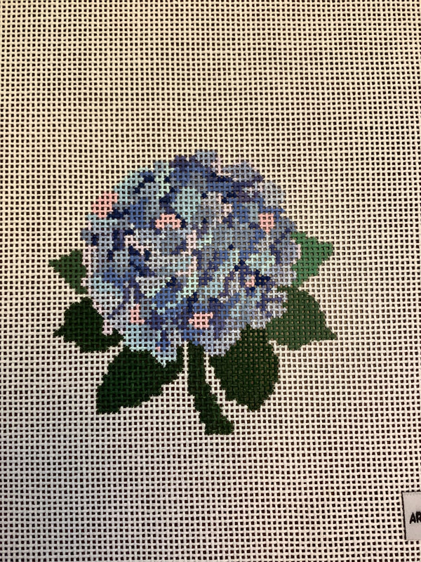Colorful Hydrangea