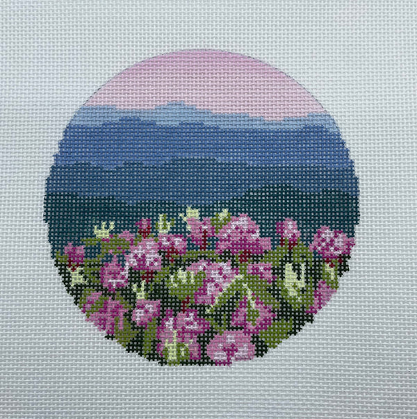 Rhododendron on Blue Ridge