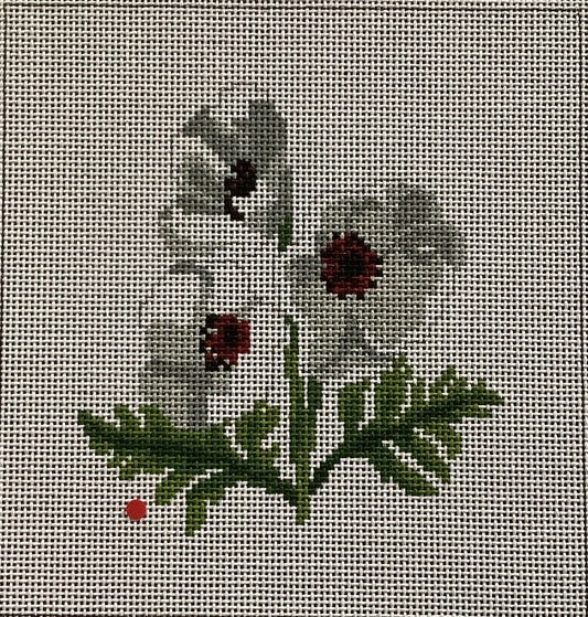 White Poppies by SES