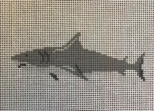 Shark
