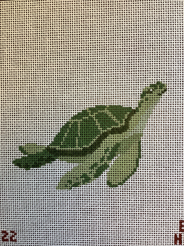 Sea Turtle