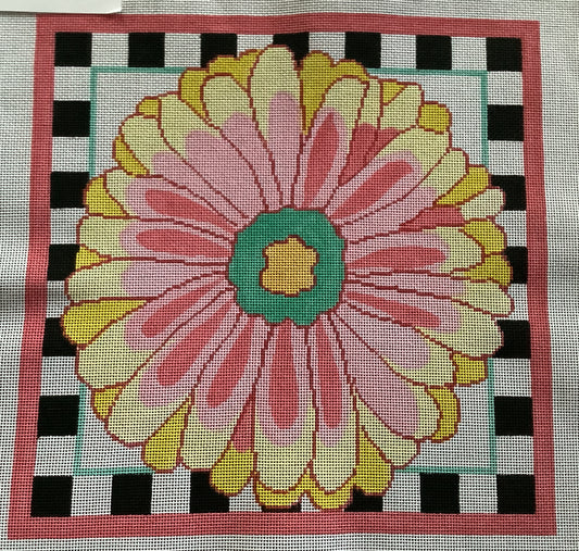 Yellow and Pink Daisy