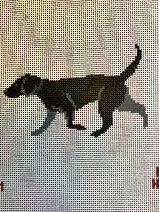 Black Lab