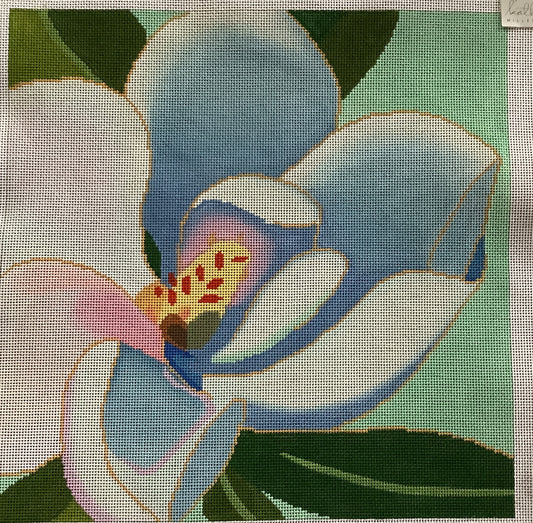 Magnolia by Blue Ridge