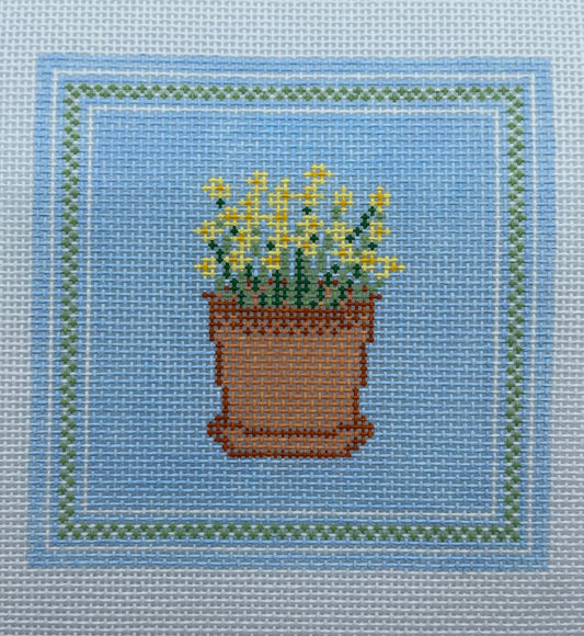 Daffodils on Blue Background