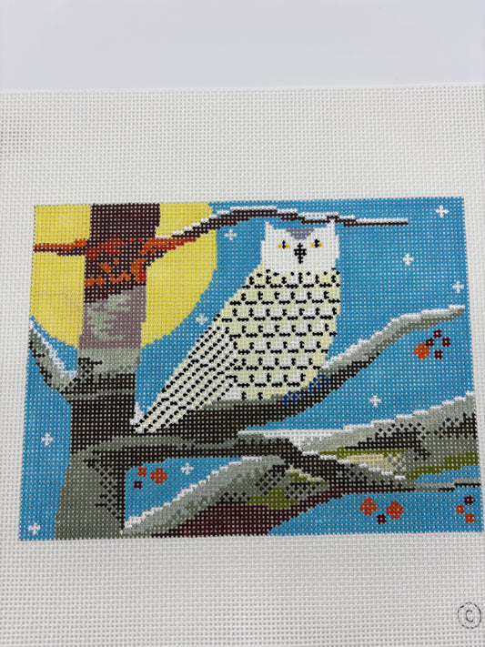 Winter Owl