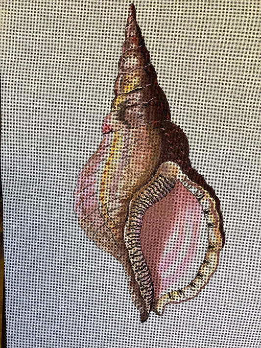 Pink Shell - front
