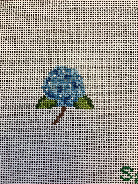 Mini Hydrangea - Blue