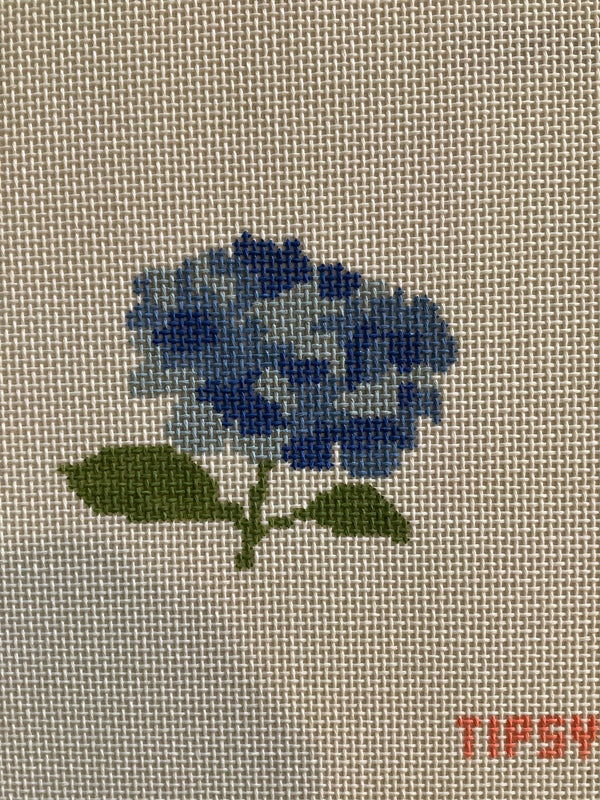 Hydrangea