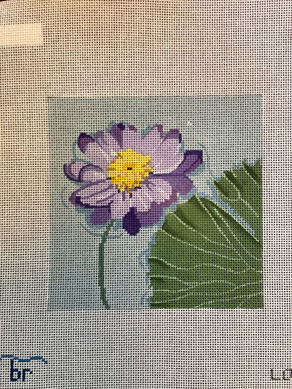 Kew Gardens - Water Lily