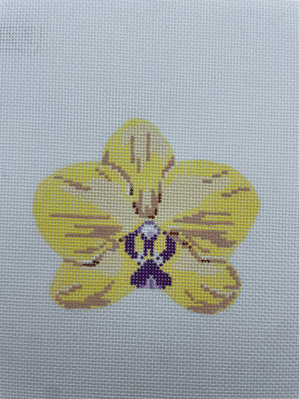 Single Yellow Orchid