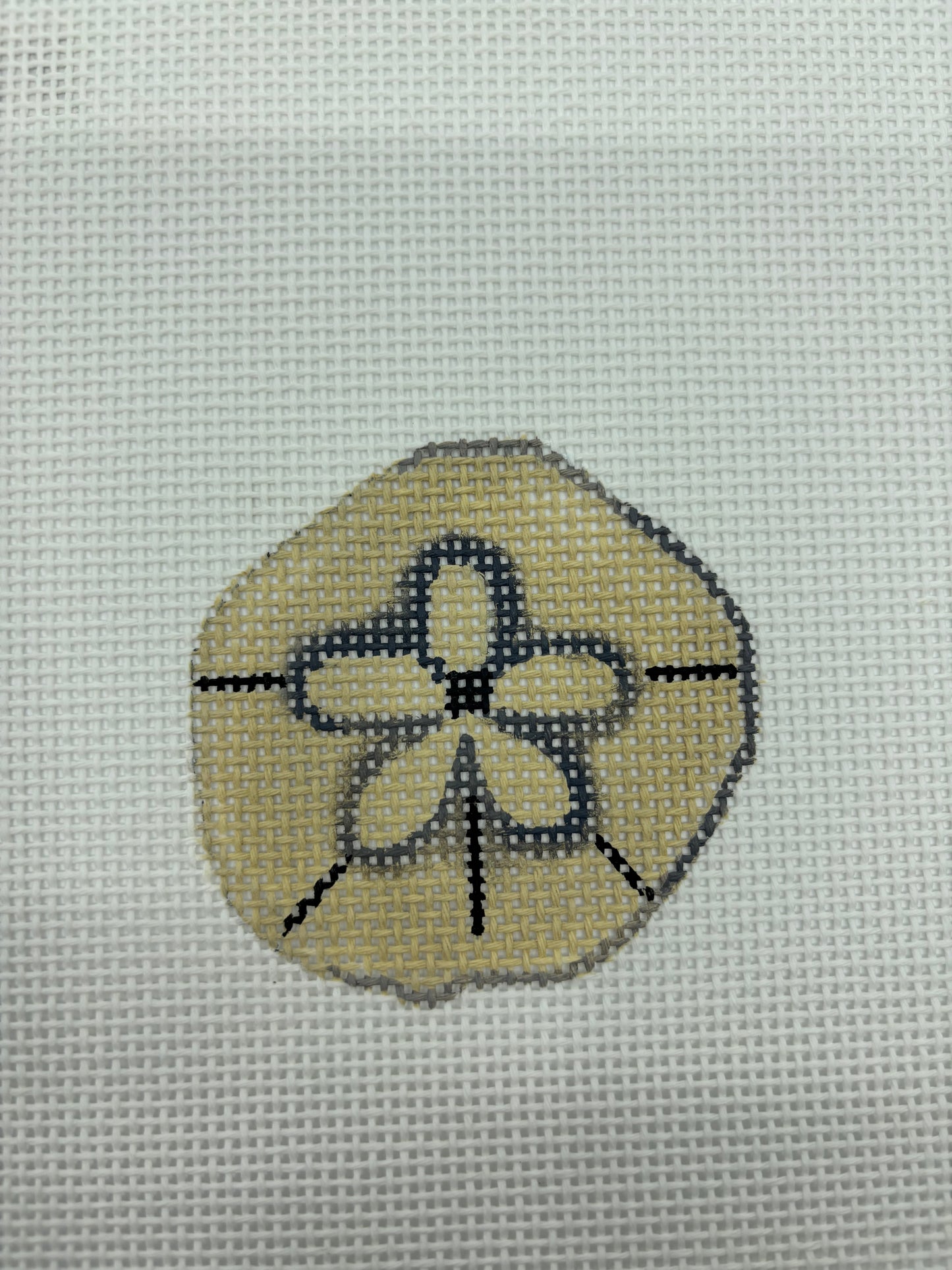 Sand Dollar Mini