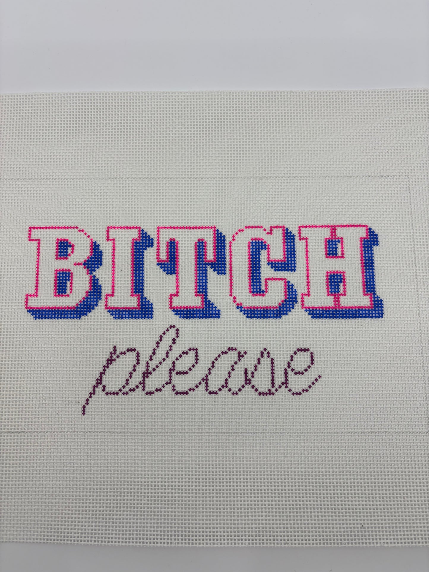 Bitch Please
