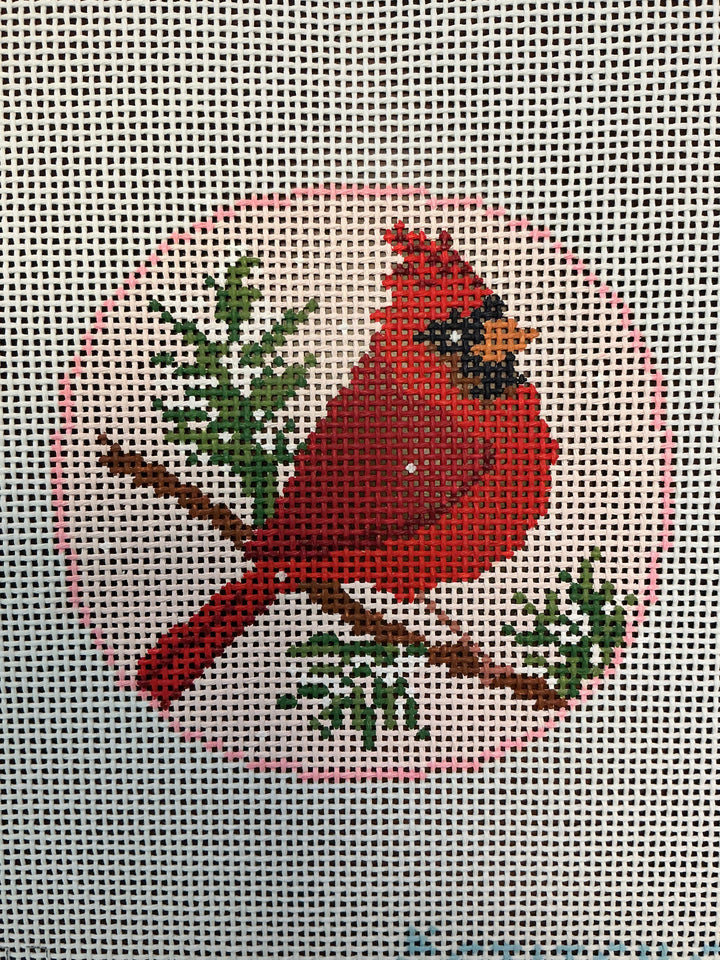 Pink Cardinal – What's the Point?