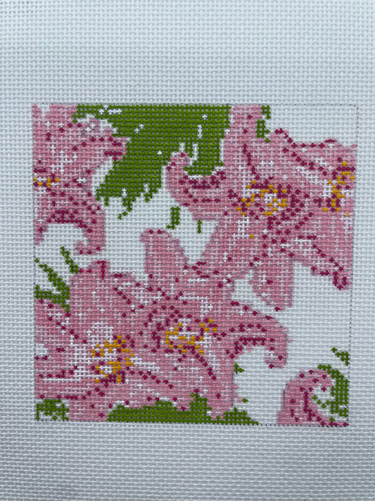 Stargazer Coaster