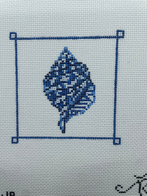 Marine Blue Tulip Shell