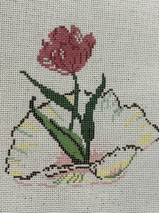 Shell Series - Roses