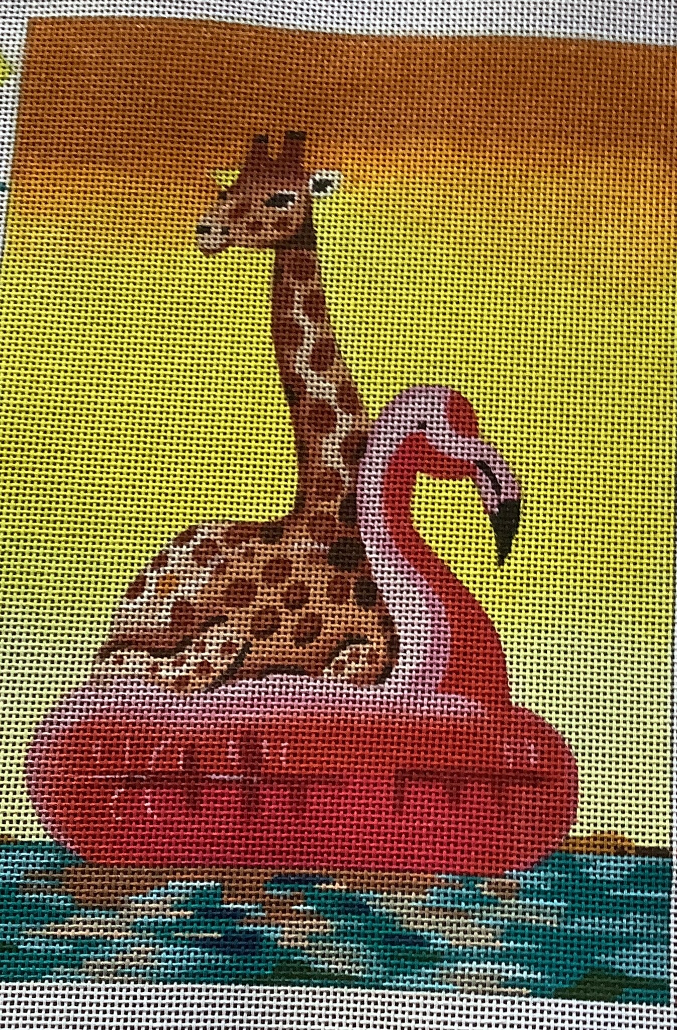 Giraffe in Inner tube