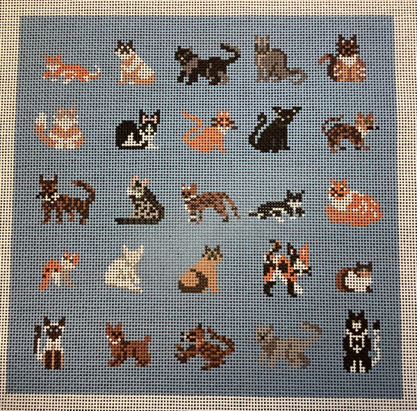 Large Blue Cat Square