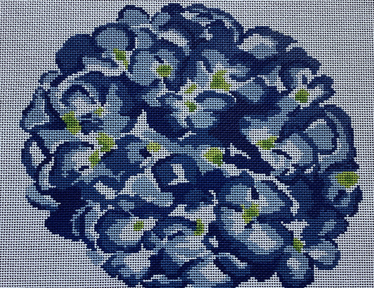 Hydrangea Blue