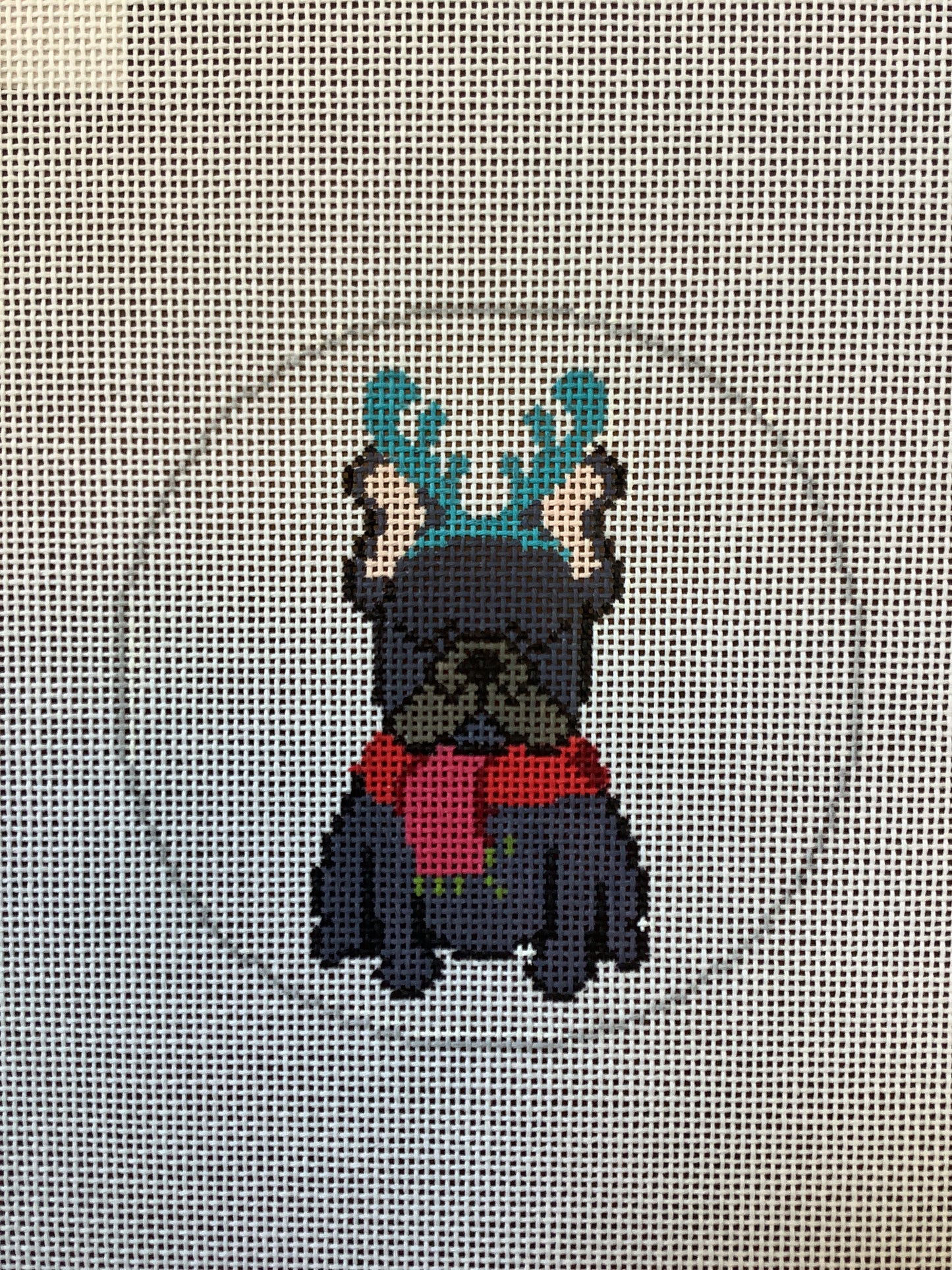 Bulldog Cosmo