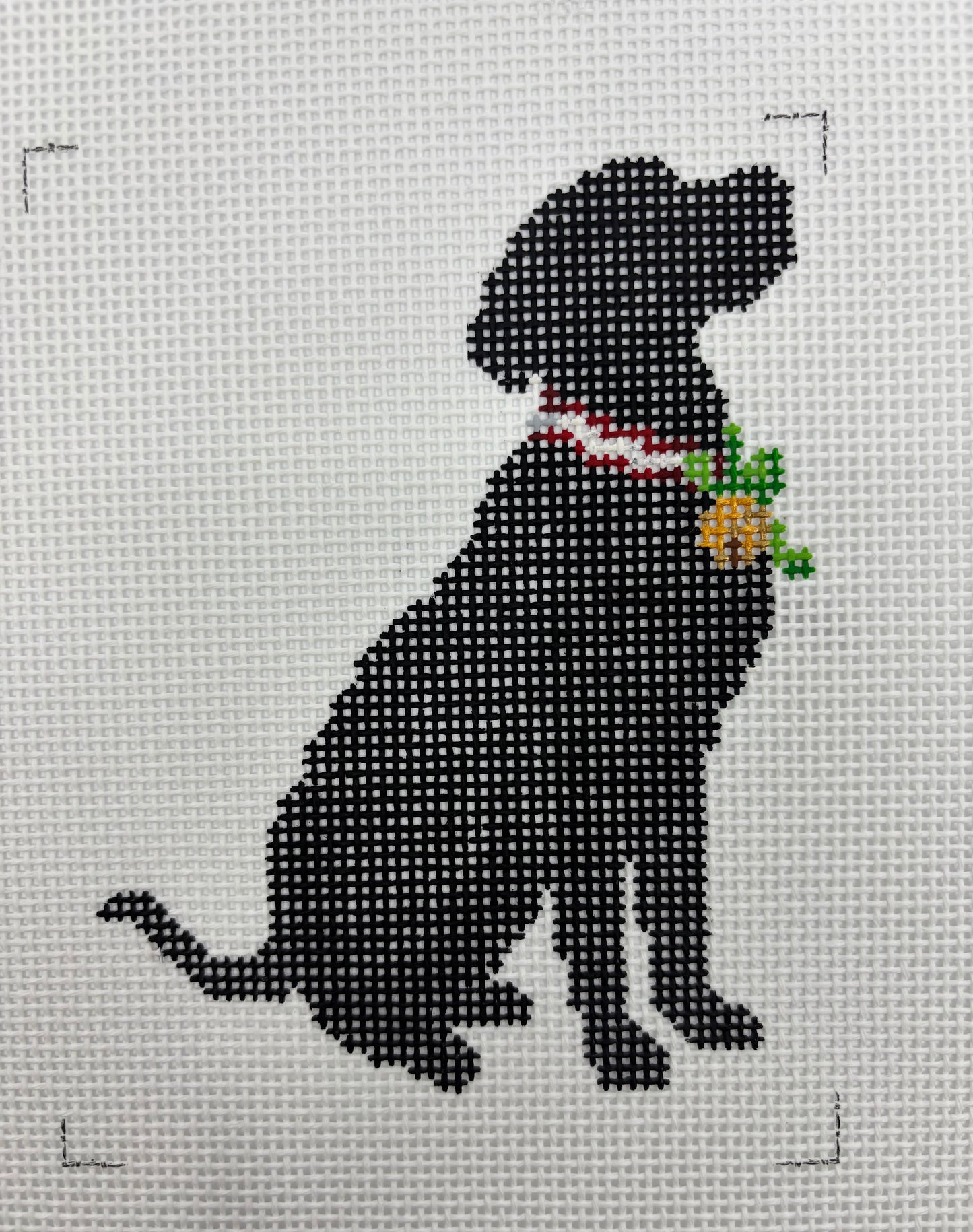 Holly Belle the Lab - 13