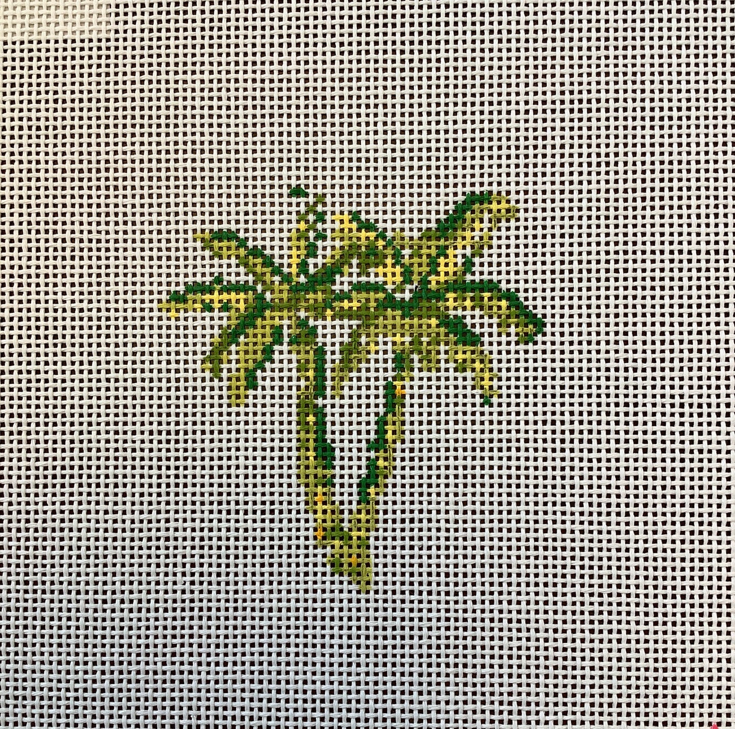 Palms