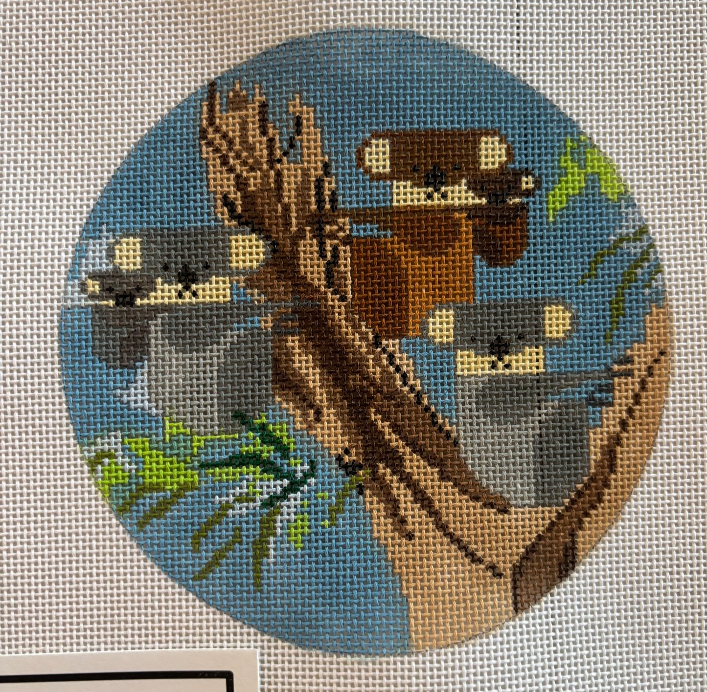Koala Tree