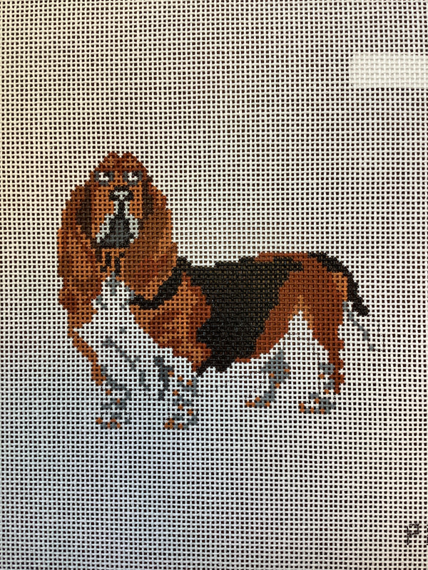 Bassett Hound