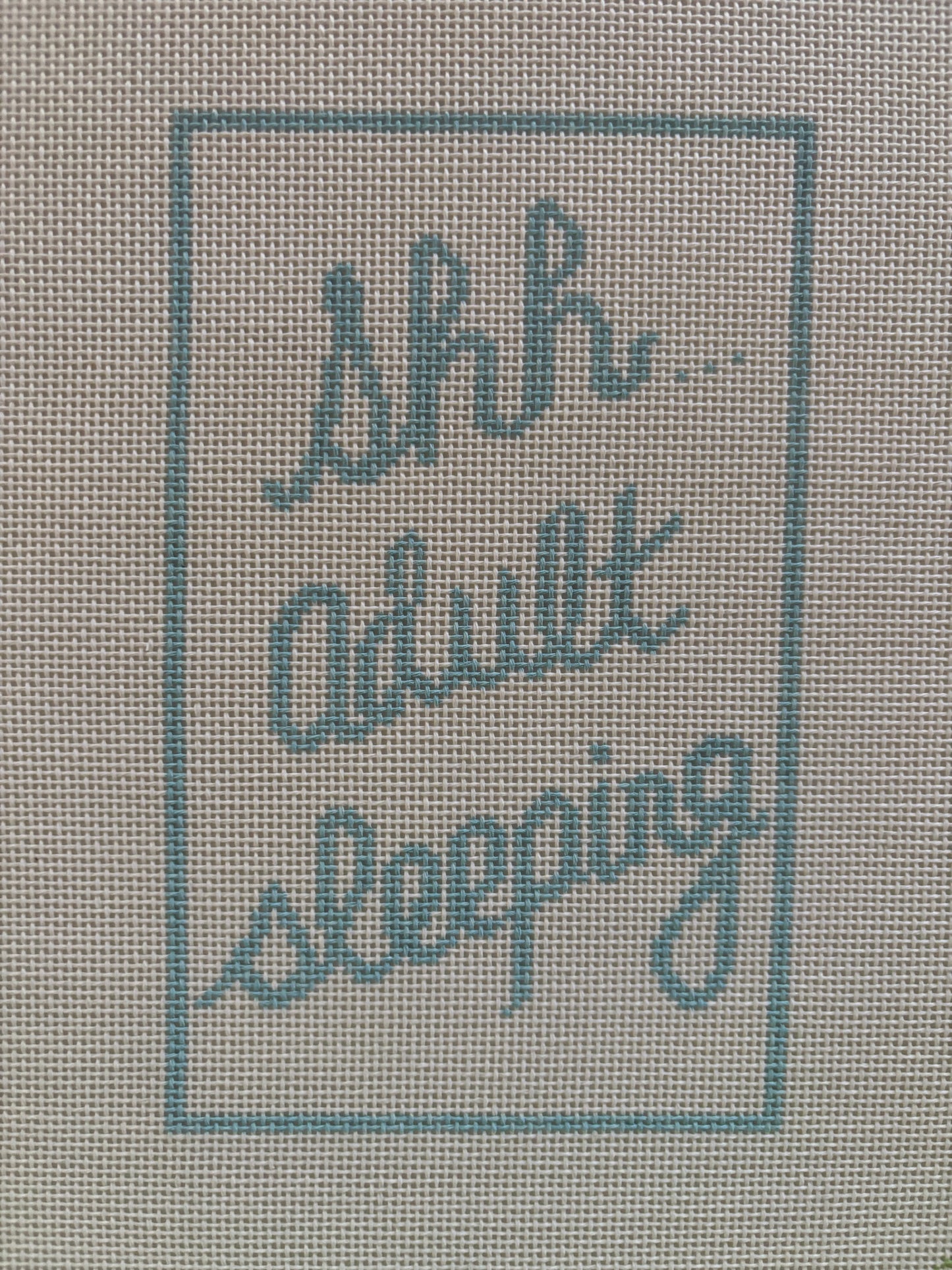 Shh....Adult Sleeping