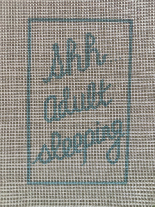 Shh....Adult Sleeping