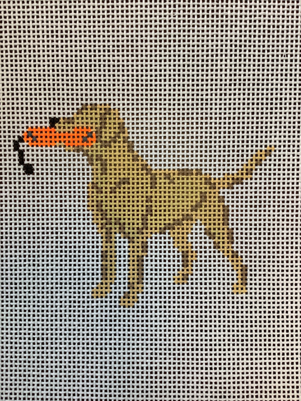 Blond Lab with Bumper