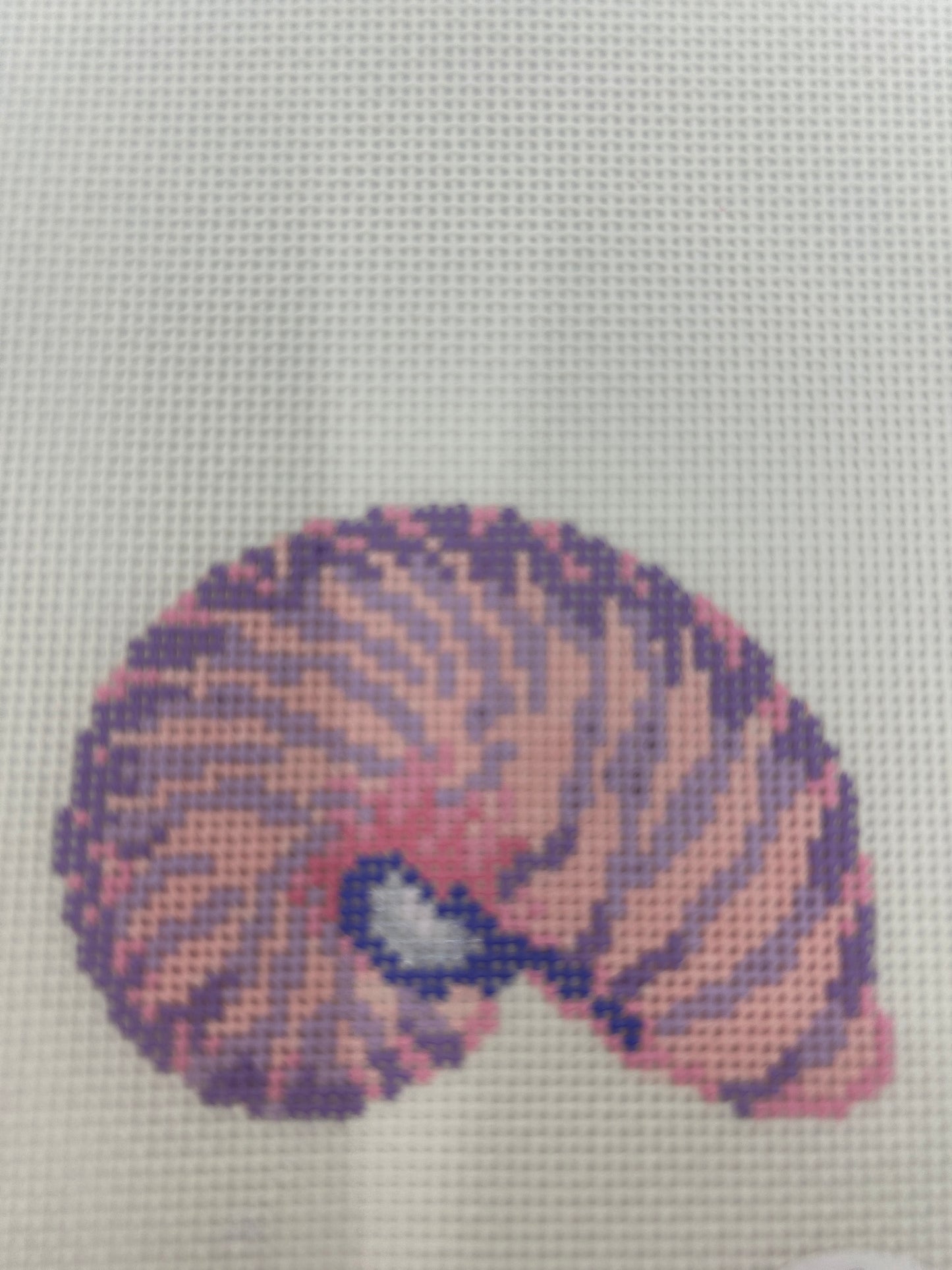 Nautilus Shell