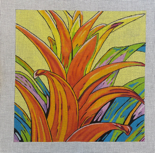 Orange Bromeliad